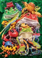 cobble-hill-outset-media-frog-business-jigsaw-puzzle-1000-pieces_77148-1_fs.jpg