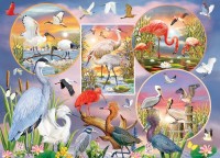 cobble-hill-outset-media-waterbird-magic-jigsaw-puzzle-1000-pieces_77149-1_fs.jpg