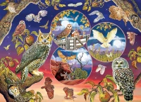 cobble-hill-outset-media-owl-magic-jigsaw-puzzle-1000-pieces_77150-1_fs.jpg