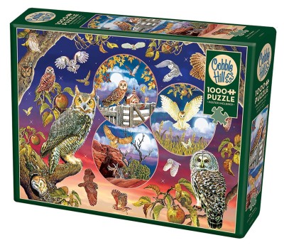 Cobble Hill 1000 - Rosiland Solomon, Owl Magic