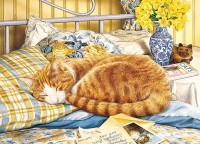 cobble-hill-outset-media-flora-jigsaw-puzzle-1000-pieces_77156-1_fs.jpg