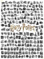 new-york-puzzle-company-harry-potter-chapter-art-jigsaw-puzzle-1000-pieces.106138-1.fs.jpg