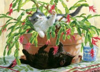 cobble-hill-outset-media-cactus-kitties-jigsaw-puzzle-1000-pieces_64977-1_fs.jpg