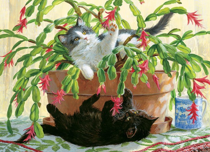 cobble-hill-outset-media-cactus-kitties-jigsaw-puzzle-1000-pieces_64977-1_fs.jpg