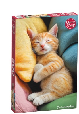 Cherry Pazzi 500 - I'm in charge here