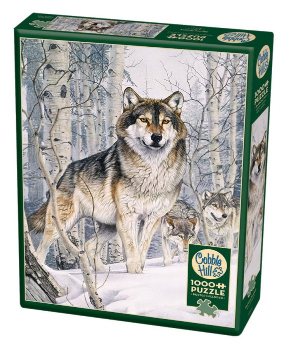 cobble-hill-outset-media-second-glance-jigsaw-puzzle-1000-pieces_64966-2_fs.jpg