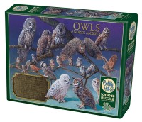 cobble-hill-outset-media-owls-of-north-america-jigsaw-puzzle-1000-pieces_64958-2_fs.jpg