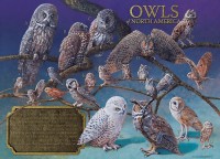 cobble-hill-outset-media-owls-of-north-america-jigsaw-puzzle-1000-pieces_64958-1_fs.jpg