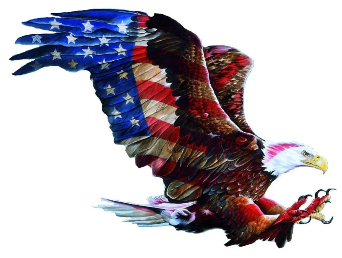 donna-wayman-american-glory-jigsaw-puzzle-900-pieces_64426-1_fs.jpg