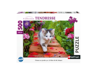 Nathan 500 - Kitten