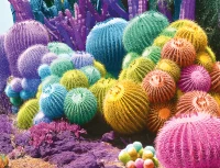 cactus-rainbow-jigsaw-puzzle-2000-pieces.99876-1.fs.jpg