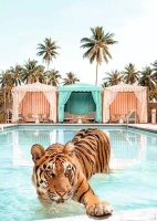 12001862_1.webp