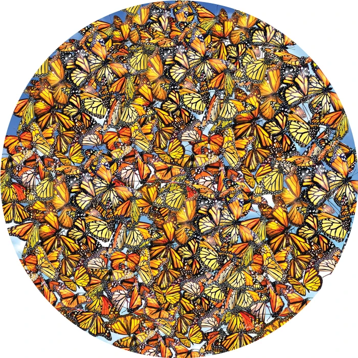 lori-schory-monarch-frenzy-jigsaw-puzzle-1000-pieces_77298-1_fs.jpg