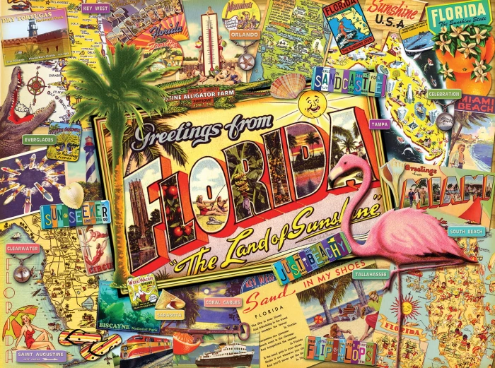 ward-thacker-studio-florida-jigsaw-puzzle-1000-pieces_77344-1_fs.jpg