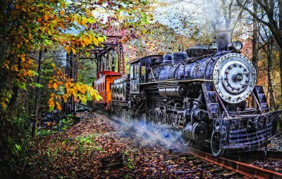 SunsOut 1000 - Celebrate Life Gallery - Train's Coming