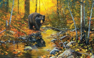 SunsOut 1000 - Jim Hansel - Last Days of Autumn