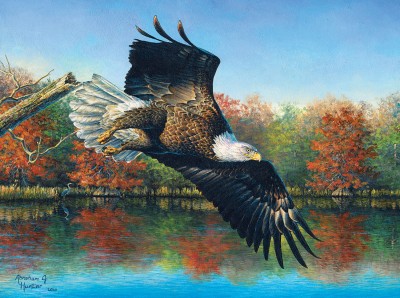 SunsOut 1000 - Abraham Hunter - Wetlands Eagle