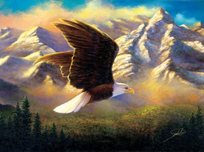 SunsOut 1000 - Abraham Hunter - Flying High