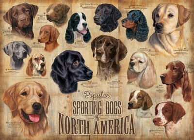Cobble Hill 1000 - Sporting Dogs