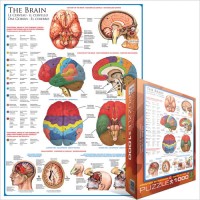jigsaw-puzzle-1000-pieces-the-brain_2217-2_fs.jpg