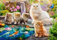 066377.webp.webp
