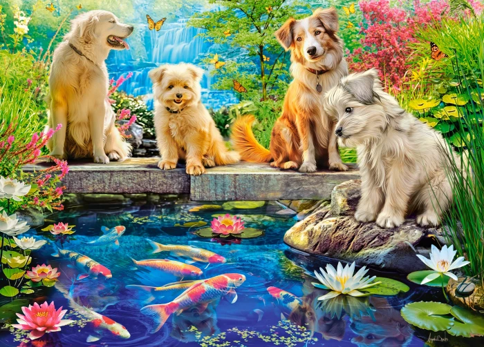 13661-1.webp.webp