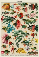 fishes-jigsaw-puzzle-1000-pieces.106199-1.fs.jpg