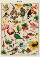 birds-by-beto-val-jigsaw-puzzle-500-pieces.106656-1.fs.jpg
