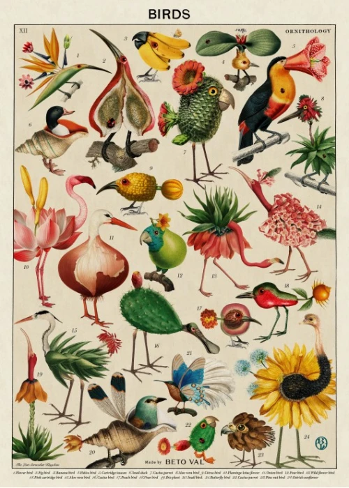 birds-by-beto-val-jigsaw-puzzle-500-pieces.106656-1.fs.jpg