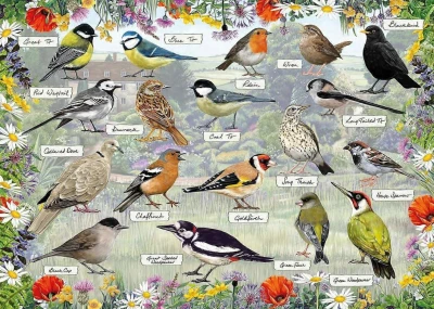 Gibsons 1000 - Kate Heiss, RSPB: Blissful Birds