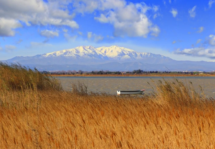 alipson-puzzle-vue-degagee-du-mont-canigou-jigsaw-puzzle-1000-pieces.106678-1.fs.jpg