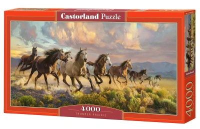 Castorland 4000 - Thunder Prairie