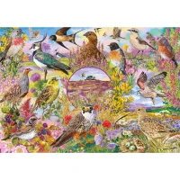 G5074-RSPB-Wings-in-the-Wild-4x500-Heathlands-C-Image-HR.webp