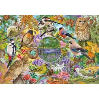 G5074-RSPB-Wings-in-the-Wild-4x500-Forest-B-Image-HR.webp