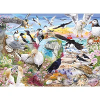 G5074-RSPB-Wings-in-the-Wild-4x500-Coastal-A-Image-HR.webp