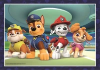 4-puzzles-pawpatrol-jigsaw-puzzle-20-pieces.100780-2.fs.jpg