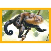 puzzle-4-en-1-mum-and-baby-animals-jigsaw-puzzle-20-pieces.102376-3.fs.jpg