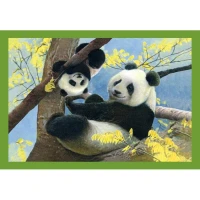 puzzle-4-en-1-mum-and-baby-animals-jigsaw-puzzle-20-pieces.102376-4.fs.jpg