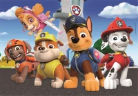 2-puzzles-pat-patrouille-jigsaw-puzzle-60-pieces.107046-2.fs.jpg