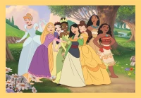 4-puzzles-disney-princess-jigsaw-puzzle-12-pieces.107019-3.fs.jpg