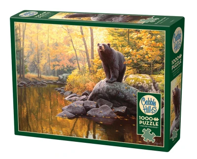 Cobble Hill 1000 - Black Bear Pond