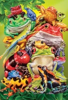 cobble-hill-xxl-pieces-frog-business-jigsaw-puzzle-100-pieces.107062-1.fs.jpg