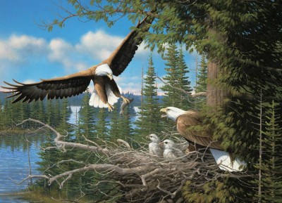 Cobble Hill 1000 - Michael Sieve : Nesting Eagles