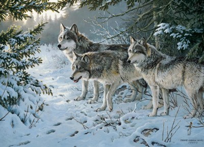 Cobble Hill 1000 - Persis Clayton Weirs : Wolf Trail