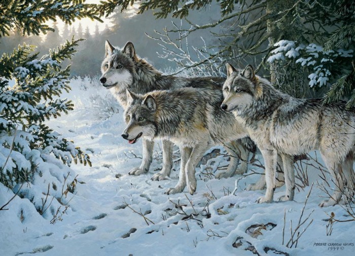 cobble-hill-outset-media-persis-clayton-weirs-wolf-trail-jigsaw-puzzle-1000-pieces.44497-1.fs.jpg