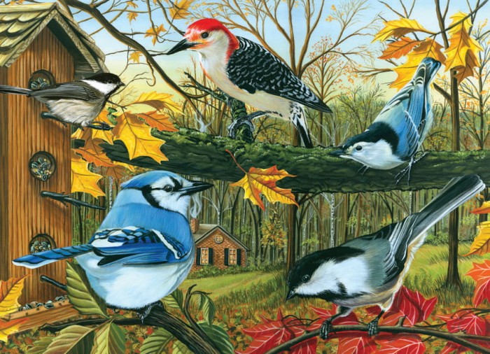cobble-hill-outset-media-backyard-feeder-jigsaw-puzzle-1000-pieces.44576-1.fs.jpg