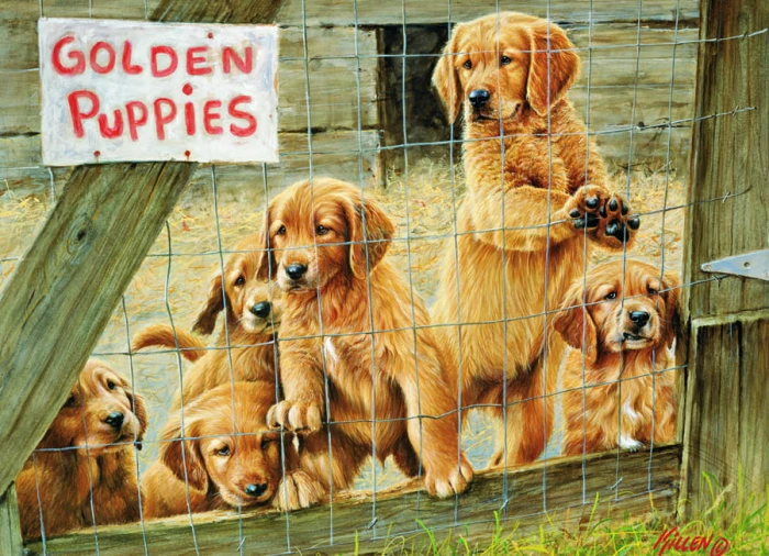 cobble-hill-outset-media-golden-puppies-jigsaw-puzzle-1000-pieces.44591-1.fs.jpg