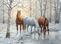 cobble-hill-outset-media-winter-trio-jigsaw-puzzle-1000-pieces.77034-1.fs.jpg