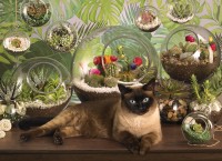 cobble-hill-outset-media-terrarium-cat-jigsaw-puzzle-1000-pieces.65028-1.fs.jpg