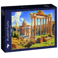 bluebird-puzzle-the-roman-forum-jigsaw-puzzle-1000-pieces.106841-2.fs.jpg